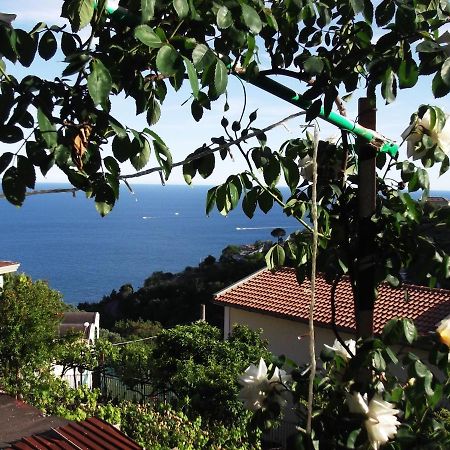 Villa Le Mimose Vietri Exterior foto