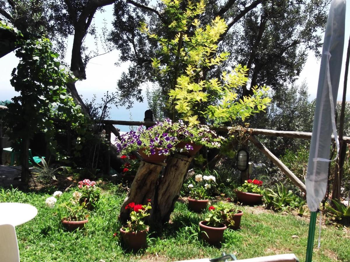 Villa Le Mimose Vietri Exterior foto