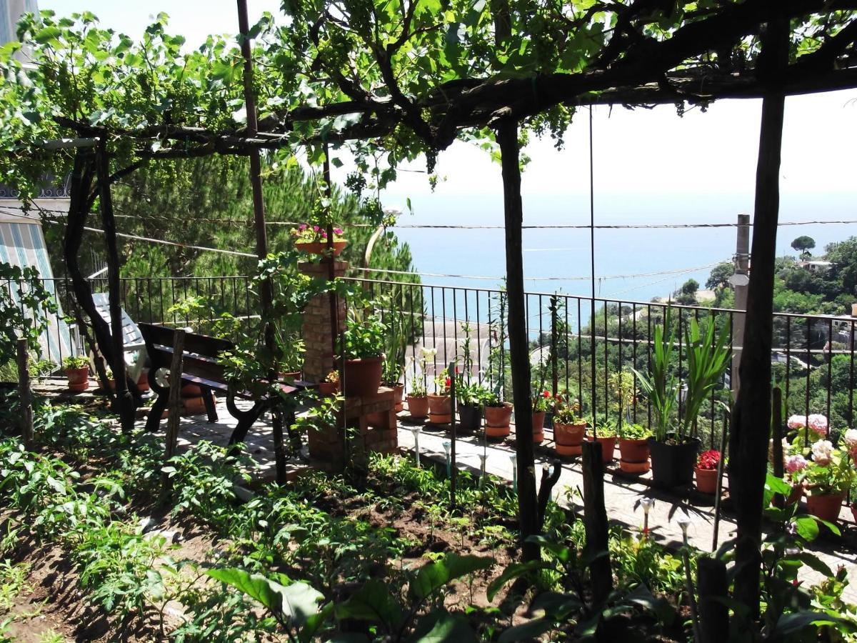 Villa Le Mimose Vietri Exterior foto