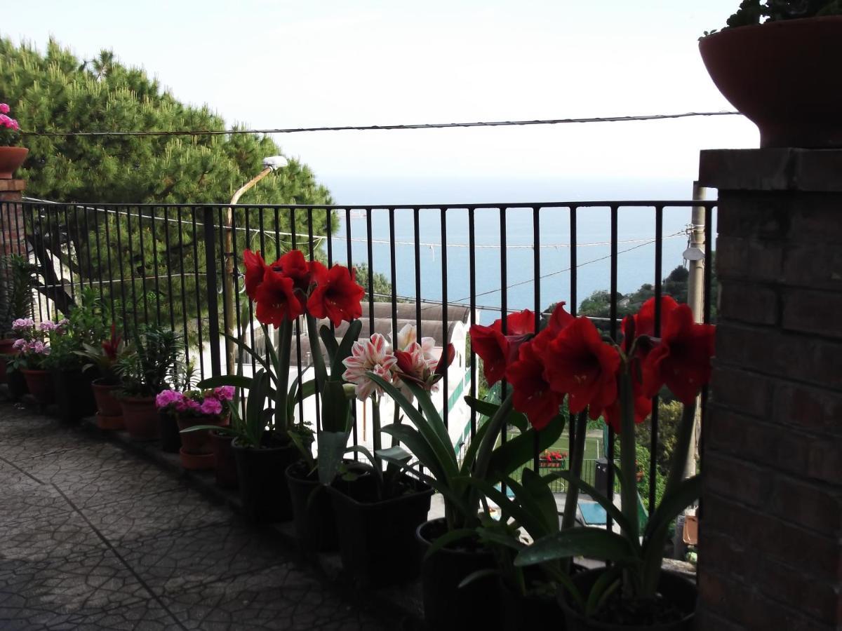 Villa Le Mimose Vietri Exterior foto