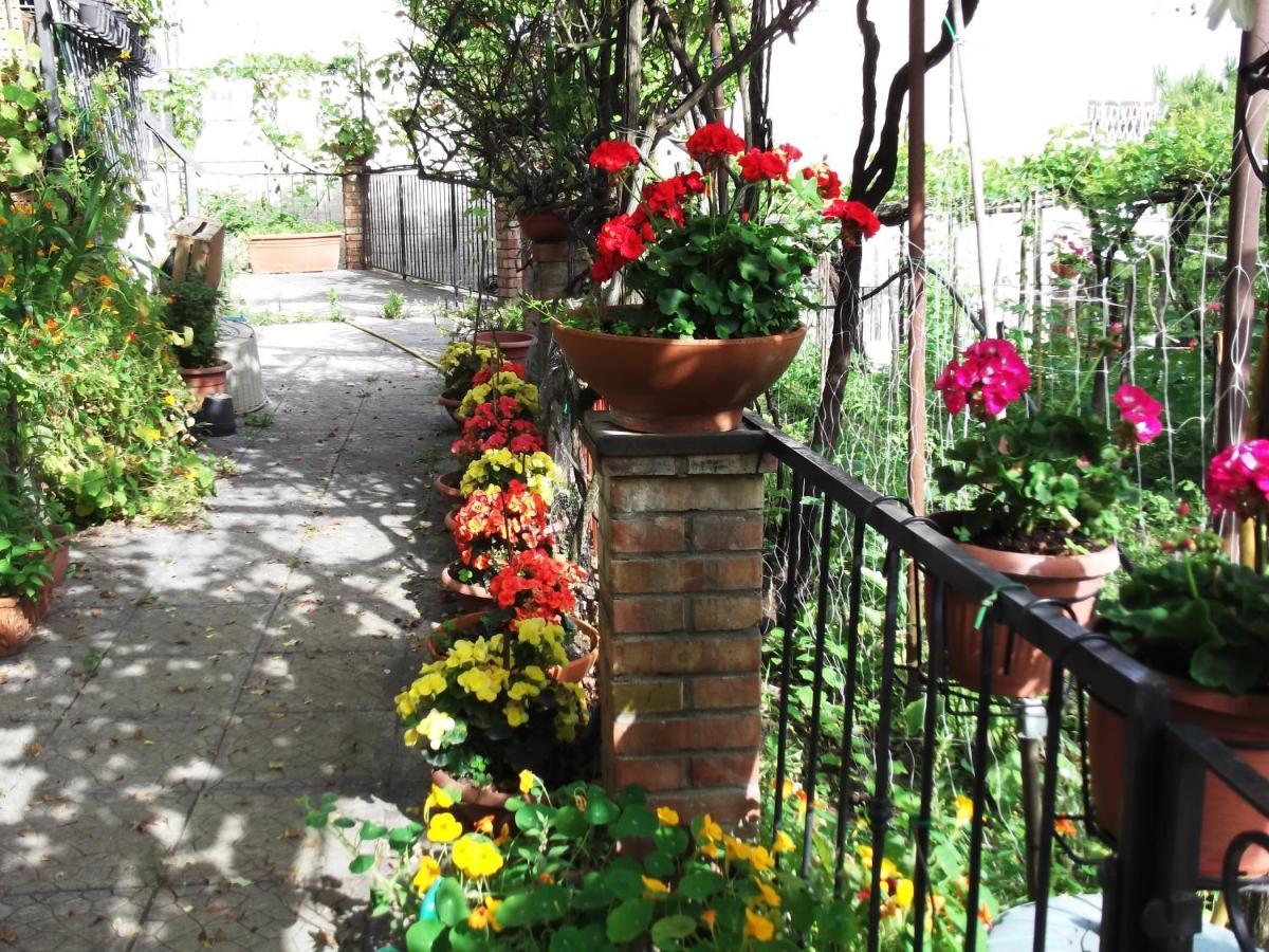 Villa Le Mimose Vietri Exterior foto