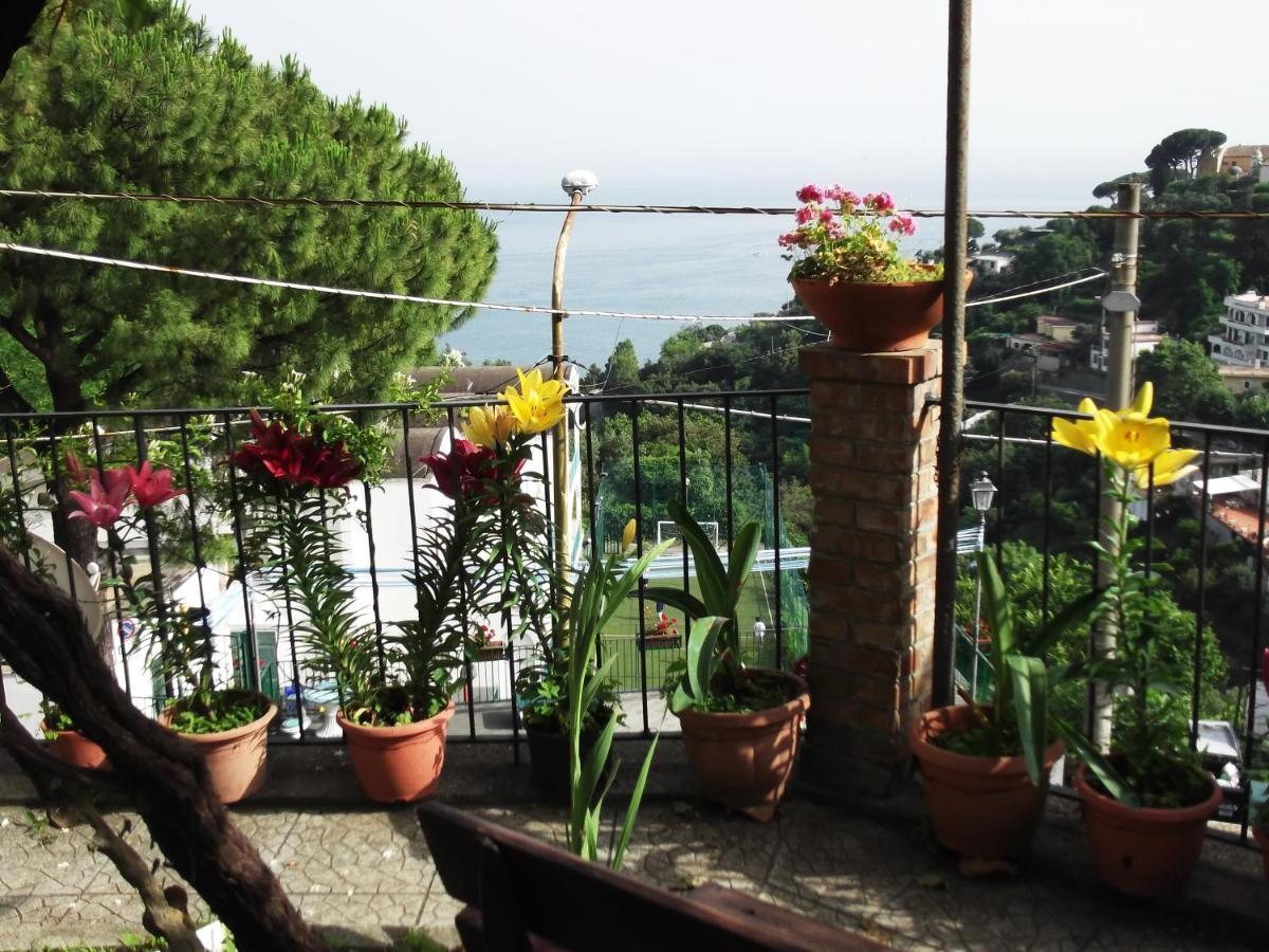 Villa Le Mimose Vietri Exterior foto