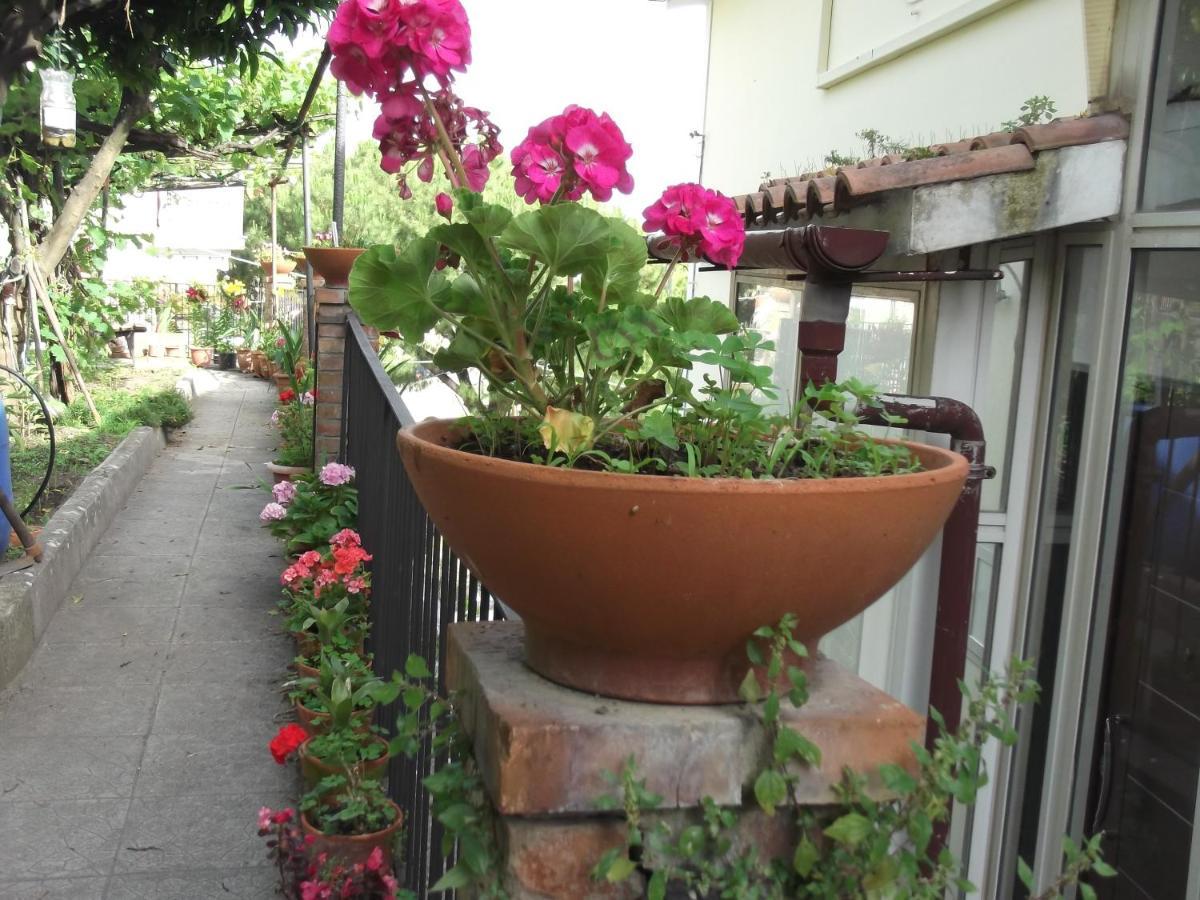 Villa Le Mimose Vietri Exterior foto