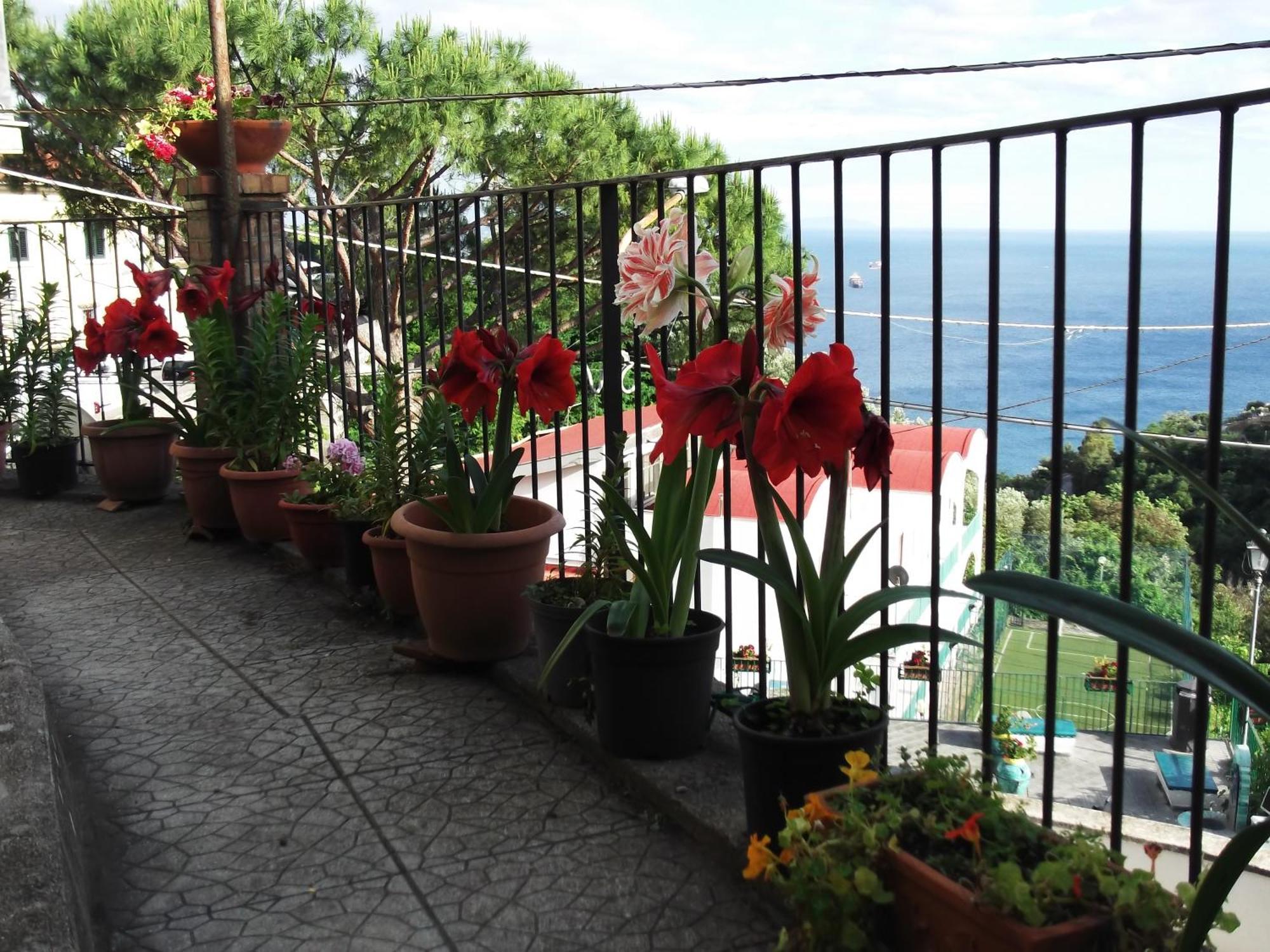 Villa Le Mimose Vietri Exterior foto