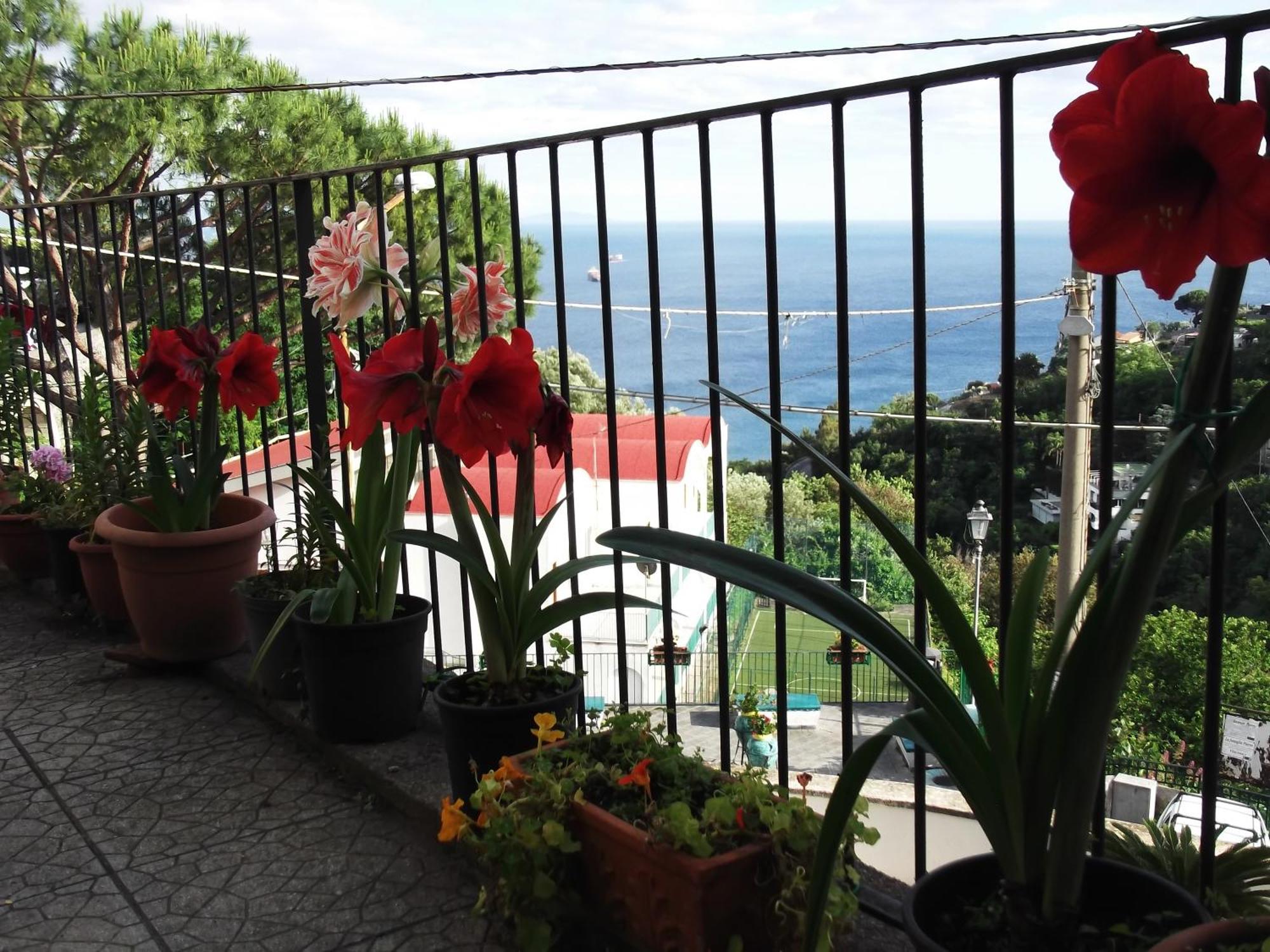 Villa Le Mimose Vietri Exterior foto