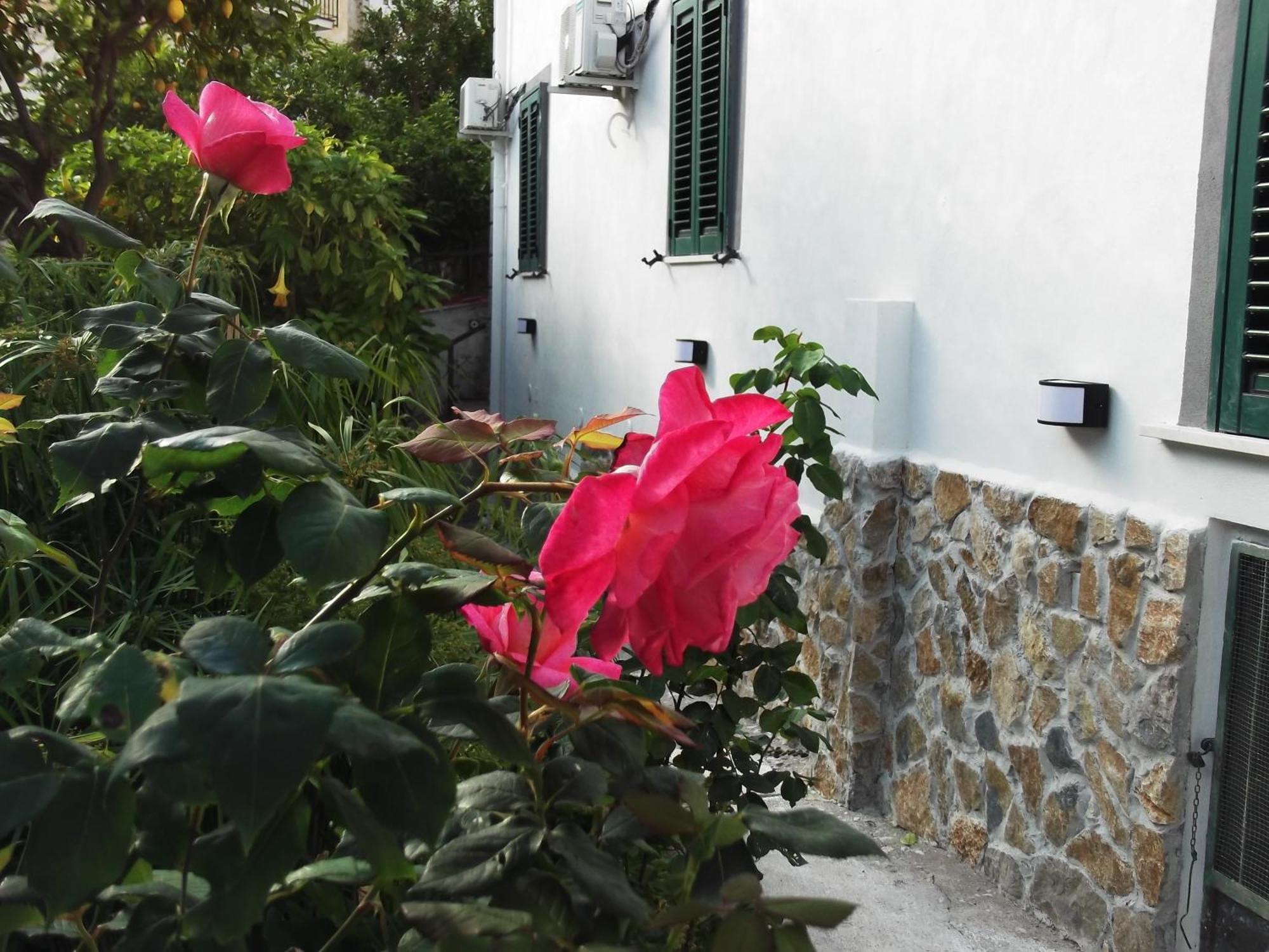 Villa Le Mimose Vietri Exterior foto