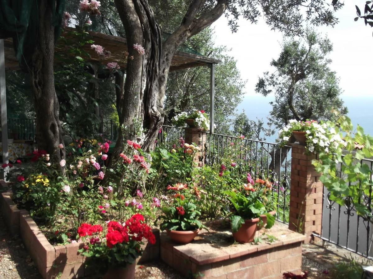 Villa Le Mimose Vietri Exterior foto