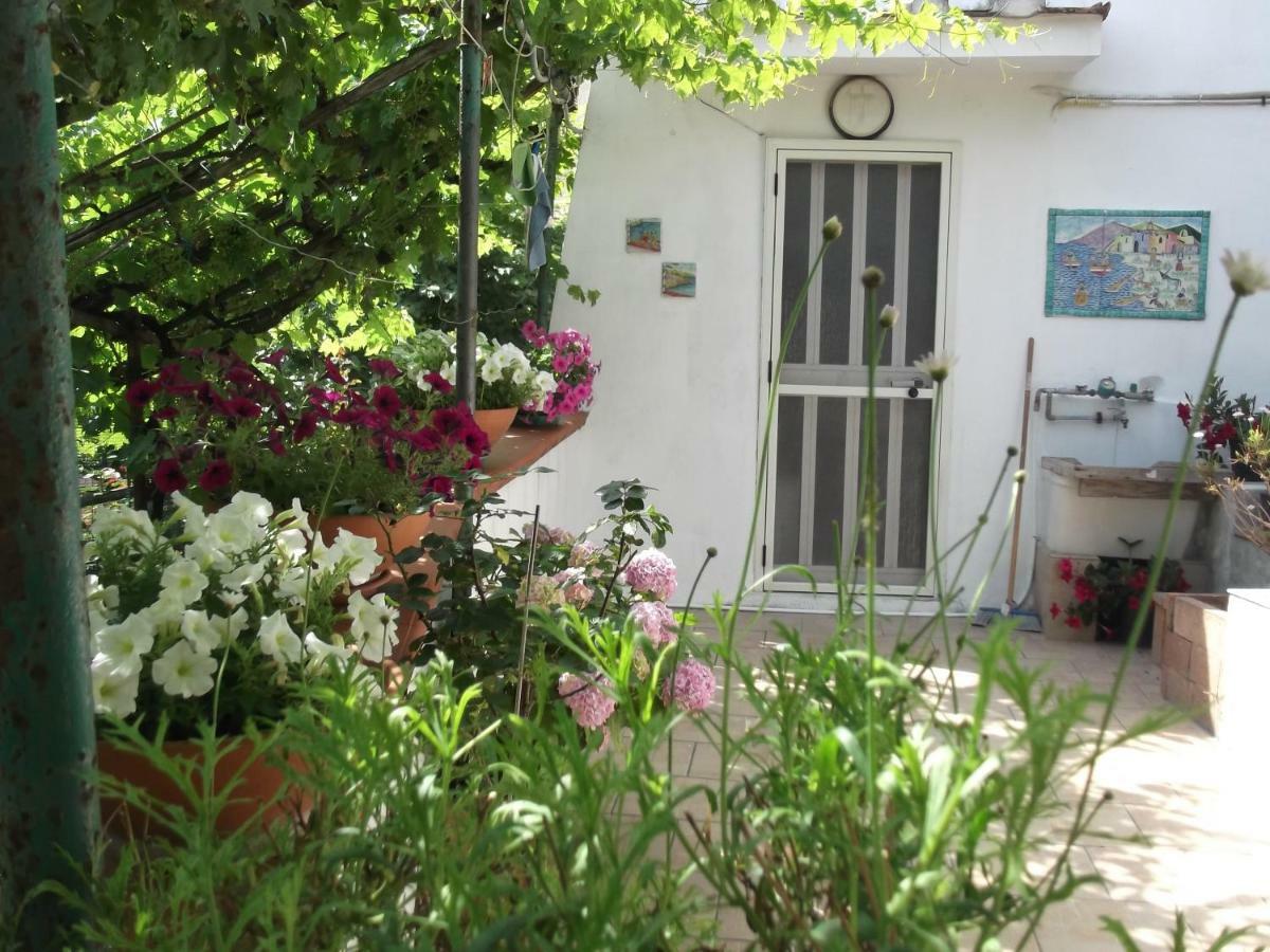 Villa Le Mimose Vietri Exterior foto